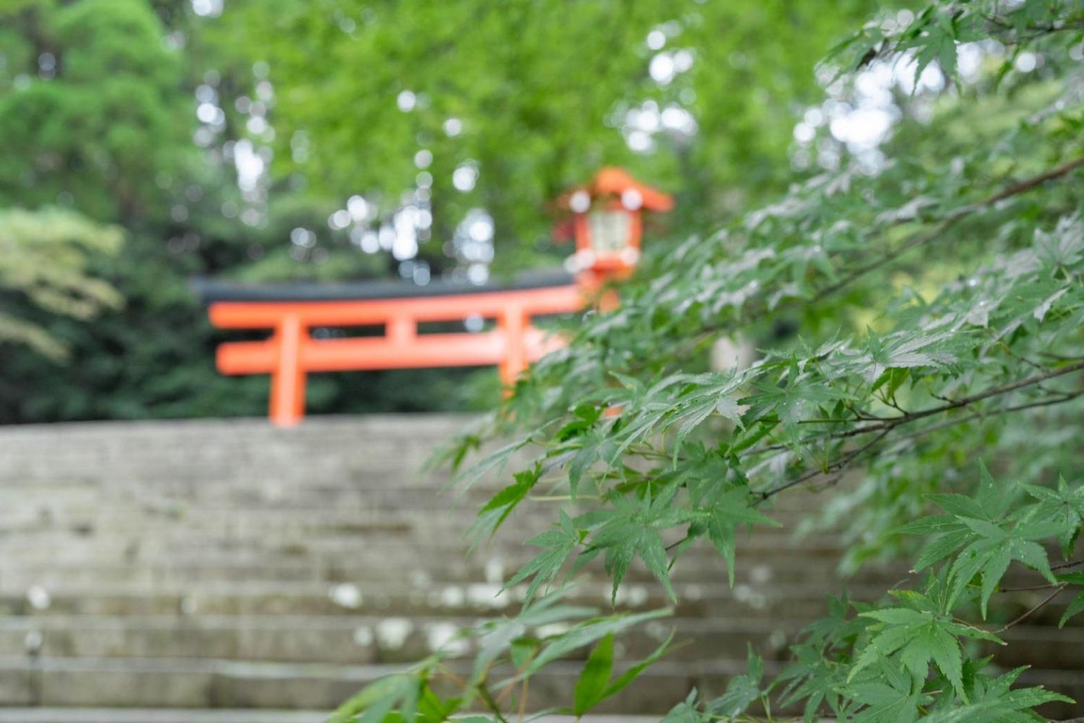Momijidani Seiryuso 传统日式旅馆 雾岛市